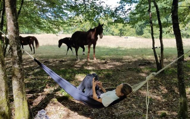 Camping Les Tourterelles