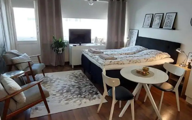 Scandinavian Home