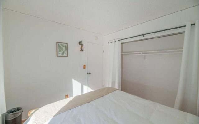 Tao Cabin 20 or 21