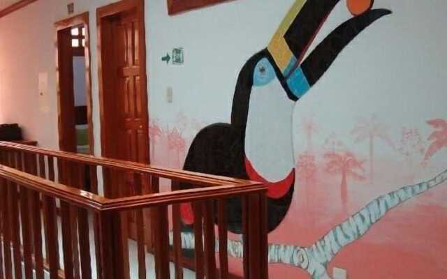 Hostal Macaw