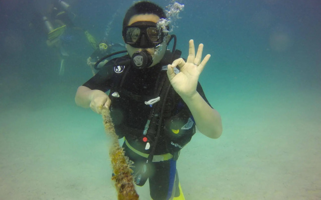 Sipadan Mangrove Resort