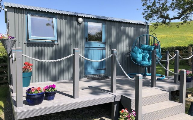 The Peacock Shepherds Hut at Hafoty Boeth