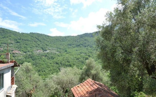 Nature Retreat in Testico