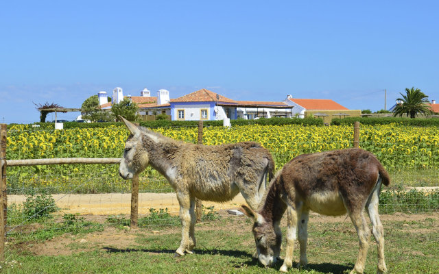 Herdade Do Touril