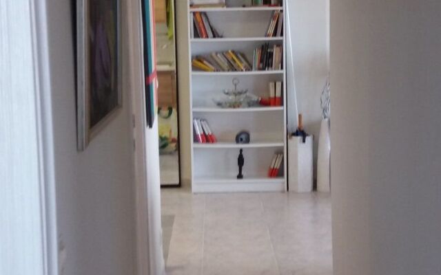 Oceanografic Arts beach center 46