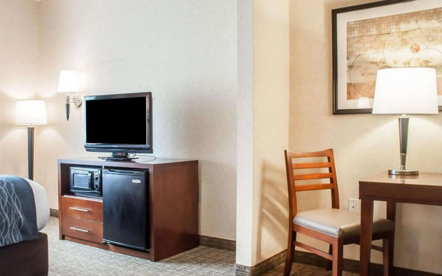 Comfort Inn And Suites Hamburg