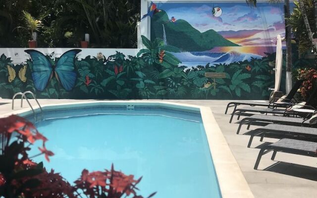 Bird of Paradise Hotel