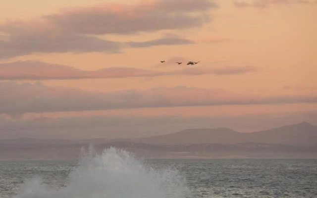 Whale View Guest House