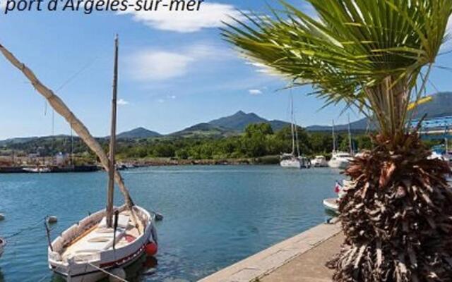 Appartement Argelès-sur-Mer, 1 pièce, 2 personnes - FR-1-225-449