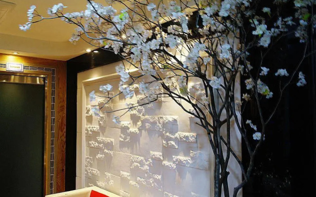 Gangnam City Hostel