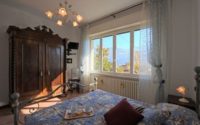 Terrazza Elegante