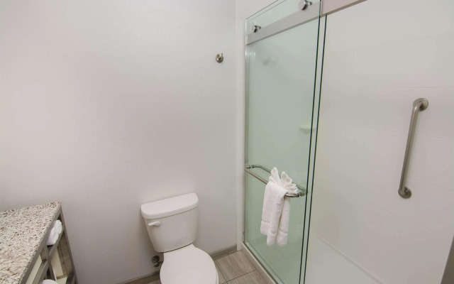 Hilton Garden Inn Tampa Suncoast Parkway