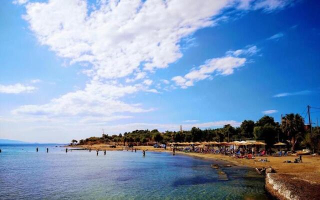 Central Suites Aegina 2