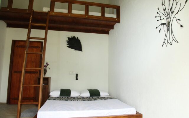 Sinharaja Forest Edge