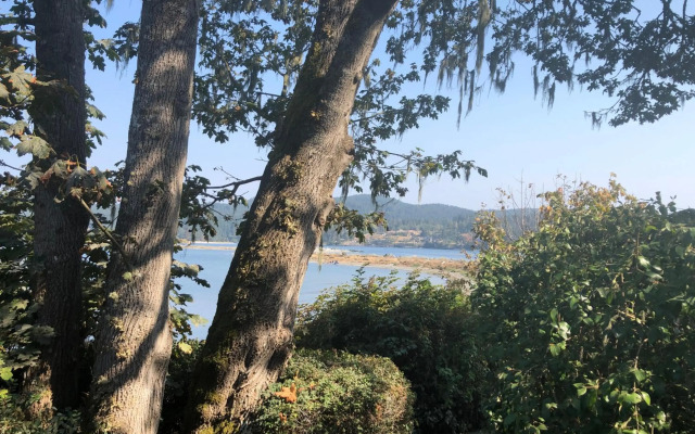 Seagull Studio Vacation Guest Suite