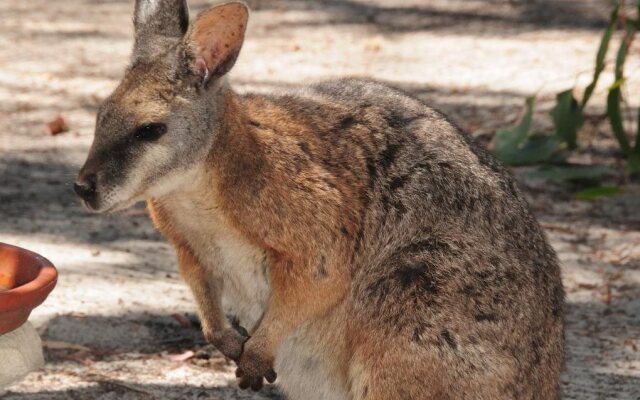 Kangaroo Island Wilderness Retreat