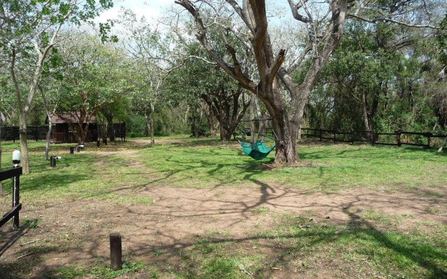 Isinkwe Backpackers Bushcamp