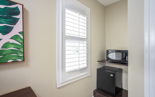 The Local - St. Augustine