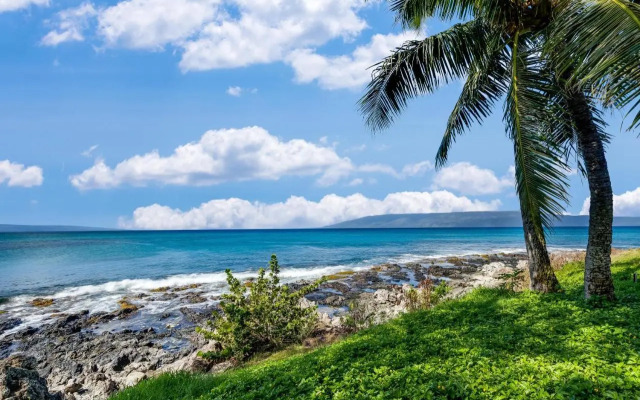 Napili Point B37, Napili