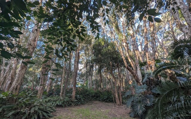 The Oasis One Mile beach