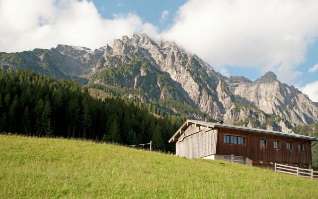 Animal -friendly Apartment in Leogang