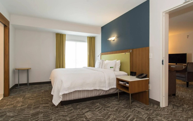 SpringHill Suites by Marriott Charlotte Ballantyne