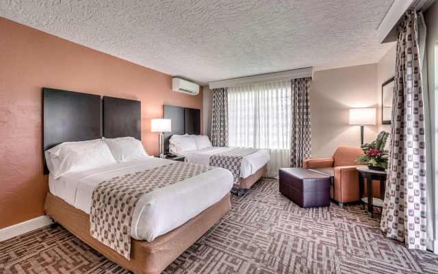 Inn of Naples, Tapestry Collection by Hilton