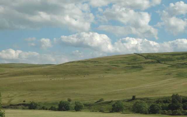Borthwickbrae Shepherd's Hut