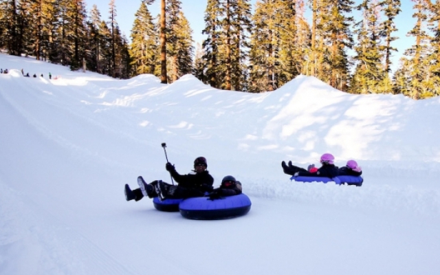 Mammoth Green Condos