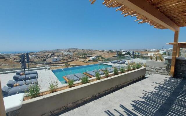 Privilege houses Mykonos by villa evi