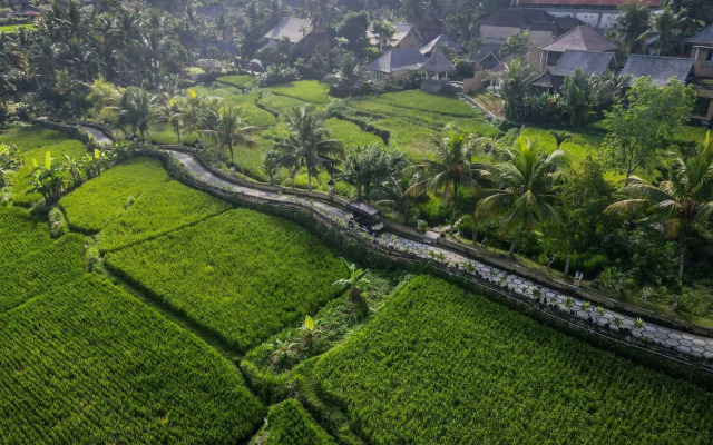 Wapa di Ume Ubud Resort & Spa