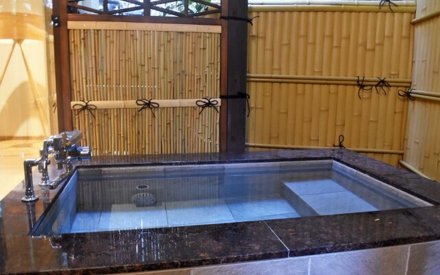 Kitashirakawa Natural Radium Onsen