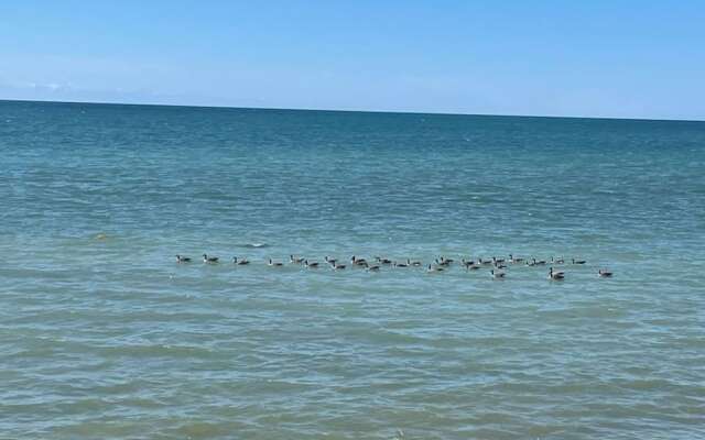 Waterfront W Private Lake Access Indoor Fireplace