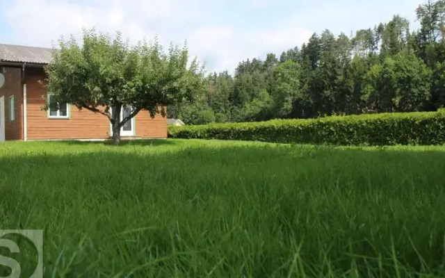 Apartments Steinacher