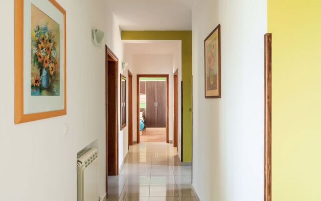 Apartment Kate Wichtrach 31569