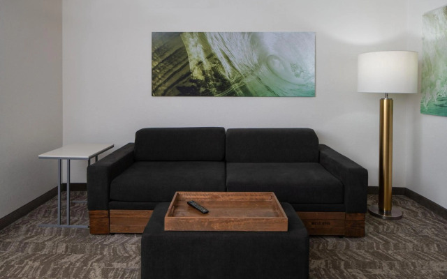 SpringHill Suites by Marriott Orlando Convention Center/International Drive Area