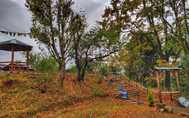 Monkey Mud Hostel And Camps