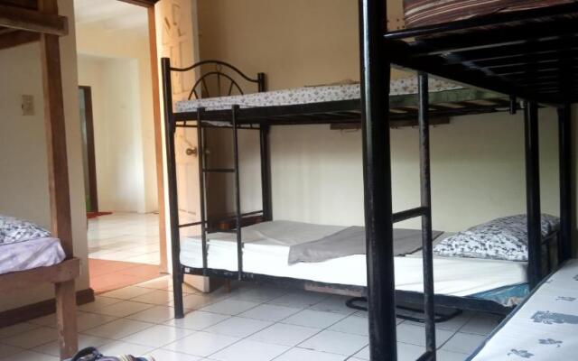 Screaming Gecko Hostel Air-Con