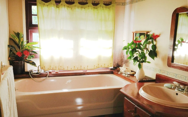 Top of the Hill Two Bedroom Apartment, Rodney Bay