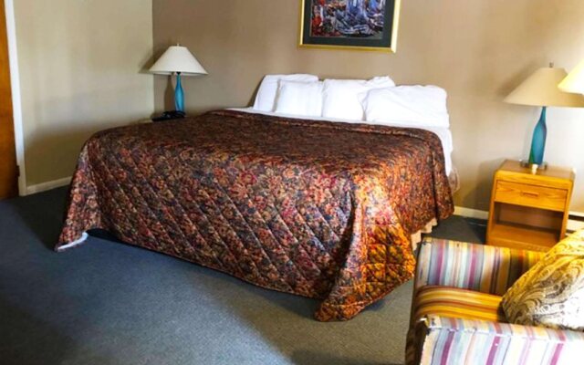 Village Inn Motel Holt