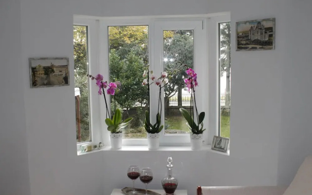 Lubimetz 13 - holiday villa