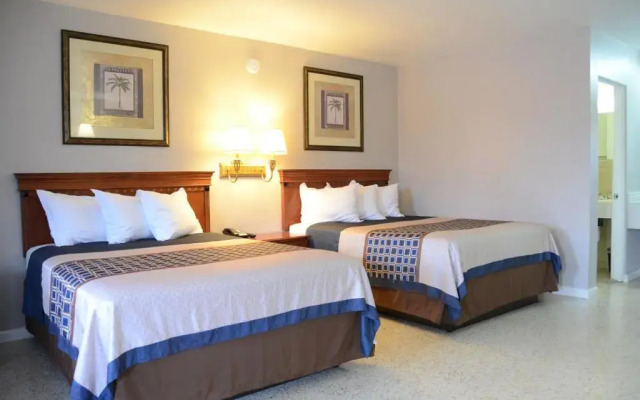 The Lion Inn