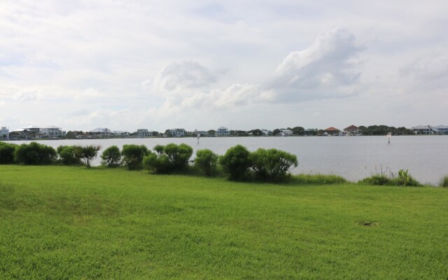 Sand Dollar by Surfside VR