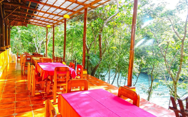 Hostal Oasis The Traveler - Hostel