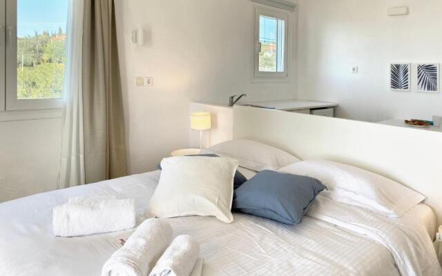 Palm Suite Blue