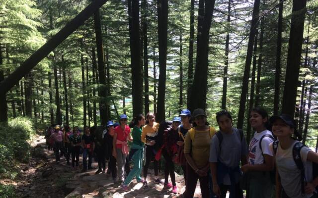 Triund Terrestrial Adventure