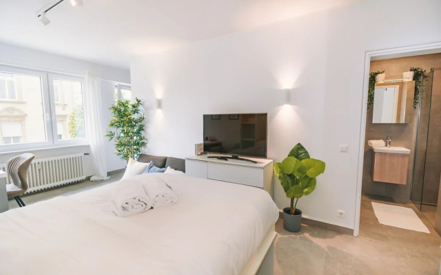 Fully Renovated Studio - Luxembourg City