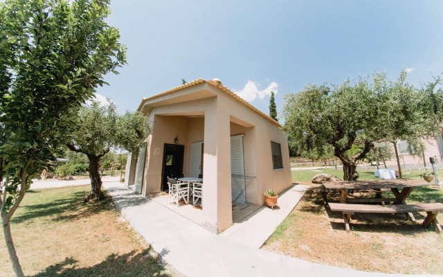 Socrates Organic Village - Wild Olive