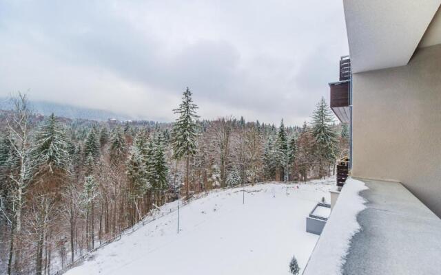 Twin studio Silver Mountain Poiana Brasov