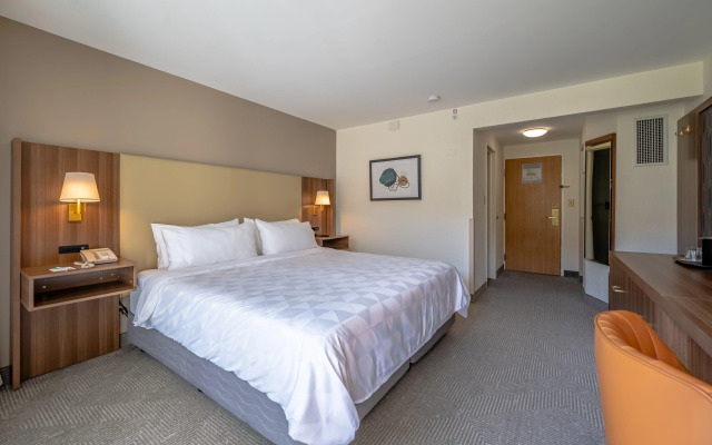 Holiday Inn San Jose La Sabana by IHG